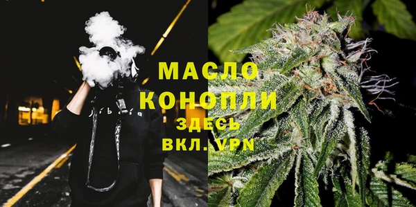 гидропоника Новозыбков