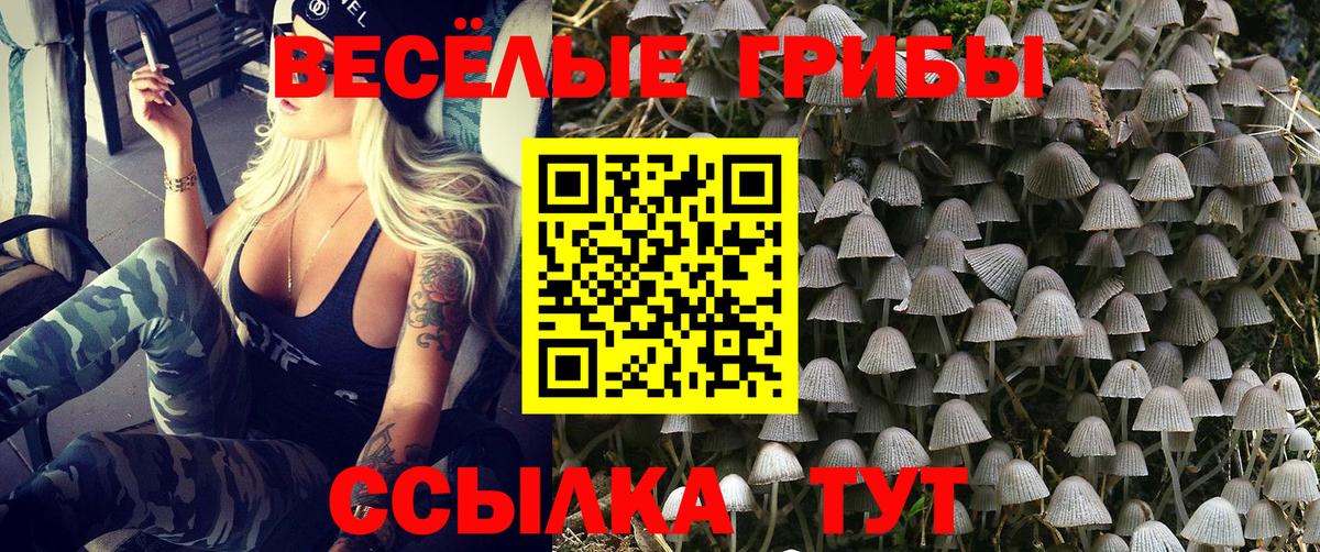 Галлюциногенные грибы Psilocybe Норильск