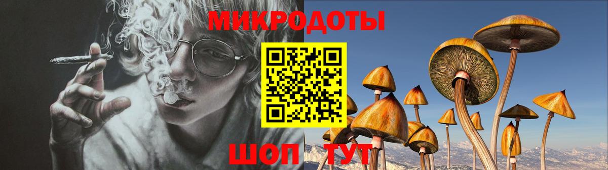 Норильск  Псилоцибиновые грибы MAGIC MUSHROOMS  Вход с VPN 